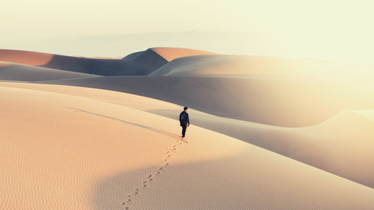 2022 referral network drying up? Look to Courted: Tech Review