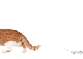 You can't fire me, I quit!