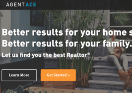 Agent Ace: referral network or broker? 