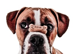 Buyers won't rush to beat rising mortgage rates