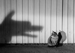 Rates fall on prospect of US intervention in Syria