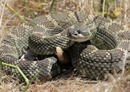 Know your market's hidden real estate dangers