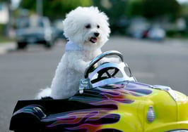 Making progress, in our uniquely wacky way