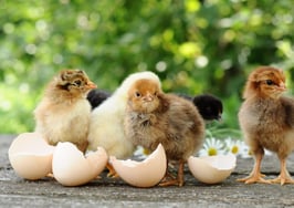 NAR picks 8 startups for 'REach' tech accelerator class of 2014