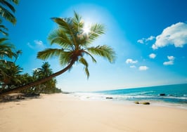 Newly formed South Florida Realtor trade group launches BeachesMLS