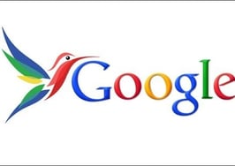 google hummingbird