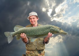 TREND MLS signs up for CoreLogic's Matrix MLS platform, GoMLS mobile app