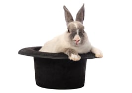 Ability to download past tax returns online handy for mortgage applications and IRS audits