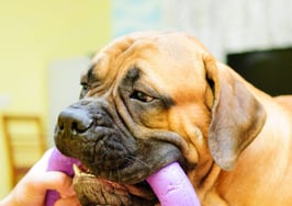 Tax breaks real estate pros and their clients should be prepared to do without in 2014