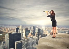 The fallacy of the agent as 'neighborhood expert' 