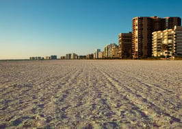 WikiRealty 'virtual town square’ serving up mix of local insights and data