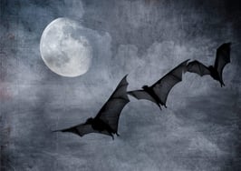 Move CEO agrees it would be 'batshit crazy' to shut down ListHub to spite realtor.com competitors