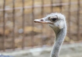 Communicating with real estate clients: Matching their style is a no-brainer if you want a lasting career