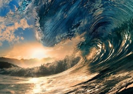 Tidal wave of new real estate agent websites taking shape