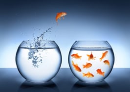 Zillow hires former CoreLogic exec to woo large MLSs