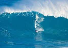 Matt Beall, principal broker at Hawaii Life, shares 10 things real estate can learn from surfing