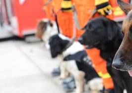 Search continues for missing Arkansas Realtor