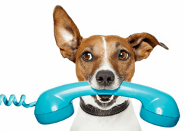 5 resolutions that will supercharge seller communication