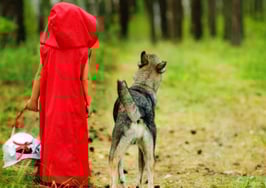 Marketing Services Agreements can be wolves in sheep's clothing