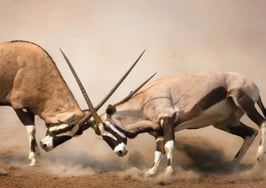 Free ways to fight negative real estate publicity