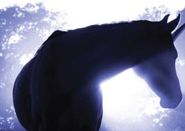 To be or not to be: a unicorn of real estate