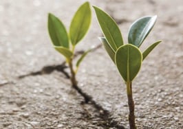 Disruption is an unavoidable reality in real estate