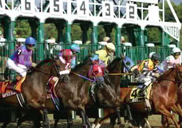 Broker portal project shooting for national prominence out of the gate