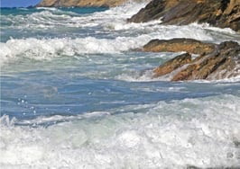 Rising tide but no tidal wave of new .realtor agent websites