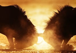 'My listing, my lead' philosophy is a disservice to real estate consumers