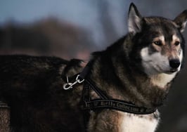 Arizona Realtors get Lone Wolf transaction software