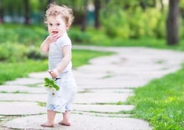 6 things every new real estate agent should do