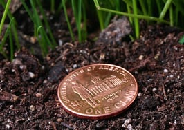 Online lender offers mortgages to the FICO-challenged