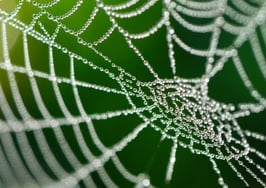 4 network-building tips that fuel business growth