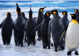 The mortgage process feature that will land you more business