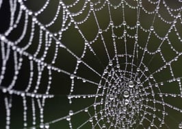 3 tips for building a prosperous real estate business