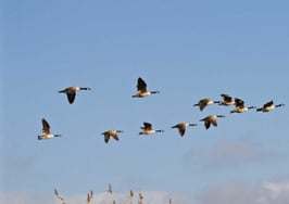 5 steps to making a lasting impression at your next listing appointment