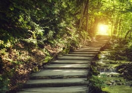 The quest of a new agent