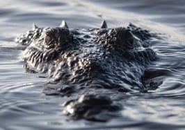 Did NAR's 'DANGER Report' help or hurt Realtors?