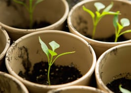 Pending home sales hit 9-year high