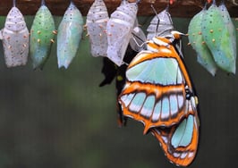 Opinion: Change is the new normal for mortgage professionals