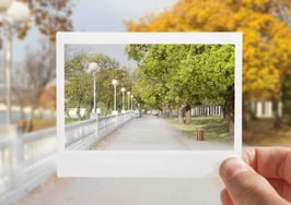 Reports build snapshot of new-home market