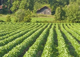 ZIP code profile: 60491