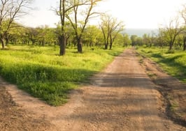 Do most real estate agents own or rent?