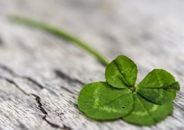 6 steps for letting go of luck and embracing success
