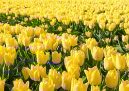 How to build a brand clients will remember