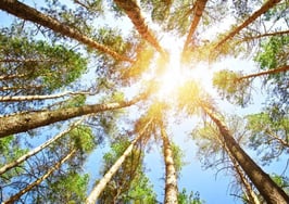 15 real estate companies make 2016 Inc. 500 cut