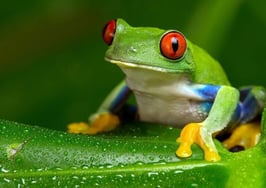 Zillow + dotloop: Raising the bar or boiling your data?