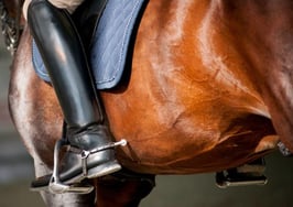 Opinion: How using basic software is like riding a horse