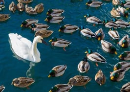 A simple 3-step system to get more clients as a newbie