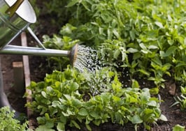 5 digital marketing tools to help your business grow